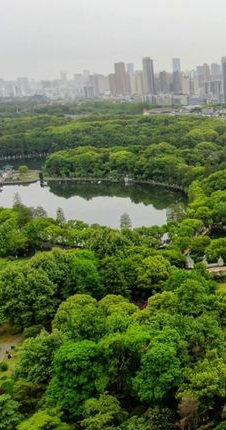 航拍武漢東湖公園
