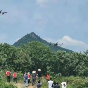 為保護(hù)百萬畝板栗，羅田出動15架無人機噴藥