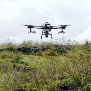 無人機精準灑下“綠色希望”，大理困難立地造林用上了新科技 ... ... ...