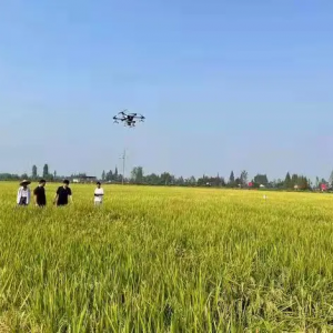 大通湖區(qū)金盆鎮(zhèn) 無人機撒播紫云英 美了鄉(xiāng)村肥了田