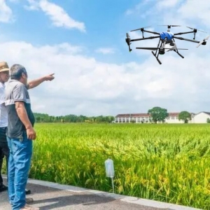 無人機播種，一天300畝