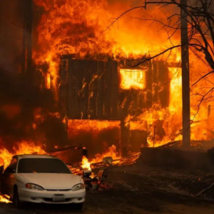 美國(guó)政府禁用中國(guó)無(wú)人機(jī) 美國(guó)制造又貴又難用 多個(gè)部門(mén)叫苦不迭 ...